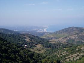 photo coins arrondis